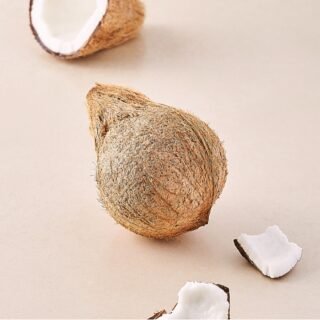 Coconut 1pcs