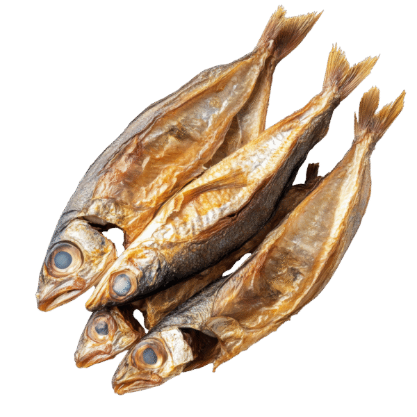 শুকান দৰিকনা মাছ - Image 2